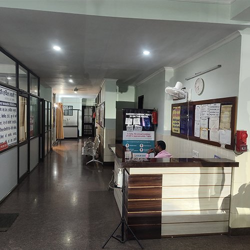 gallery img